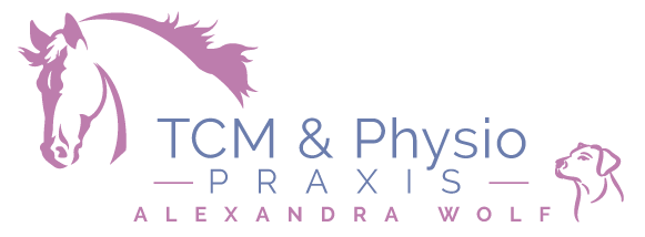 TCM & Physio Praxis
